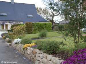 Muret-pierres sèches-floraison-fleurs